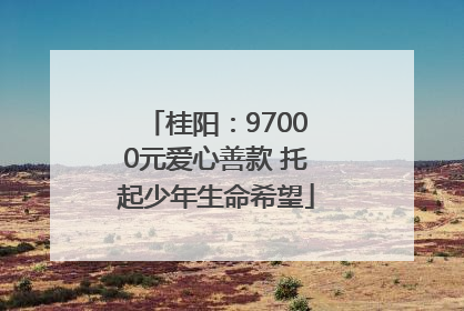 桂阳：97000元爱心善款 托起少年生命希望