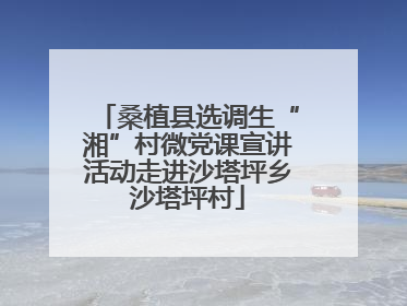 桑植县选调生“湘”村微党课宣讲活动走进沙塔坪乡沙塔坪村