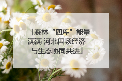 森林“四库”能量满满 河北围场经济与生态协同共进