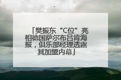 樊振东“C位”亮相德国萨尔布吕肯海报，俱乐部经理透露其加盟内幕