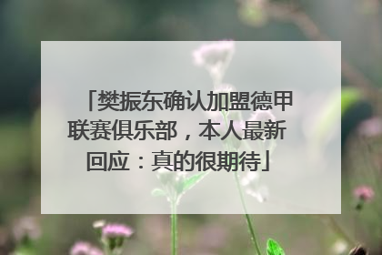 樊振东确认加盟德甲联赛俱乐部，本人最新回应：真的很期待