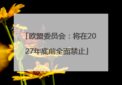 欧盟委员会：将在2027年底前全面禁止