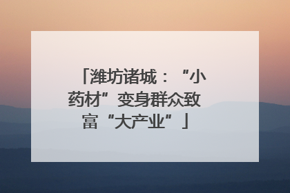 潍坊诸城：“小药材”变身群众致富“大产业”