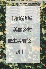潍坊诸城：美丽乡村催生美丽经济