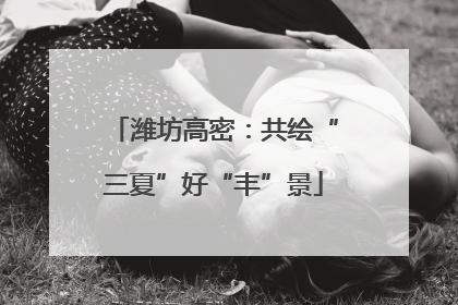 潍坊高密：共绘“三夏”好“丰”景