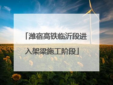 潍宿高铁临沂段进入架梁施工阶段