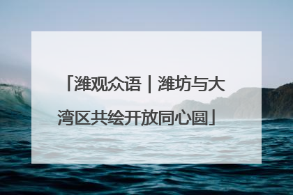 潍观众语｜潍坊与大湾区共绘开放同心圆