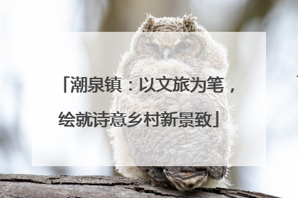 潮泉镇：以文旅为笔，绘就诗意乡村新景致