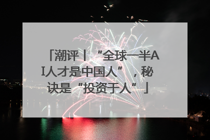 潮评丨“全球一半AI人才是中国人”，秘诀是“投资于人”