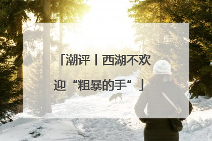 潮评丨西湖不欢迎“粗暴的手”
