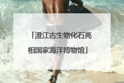 澄江古生物化石亮相国家海洋博物馆