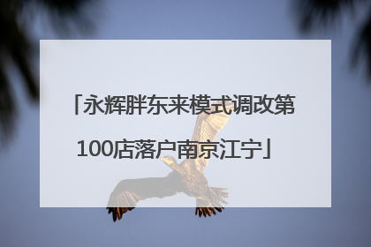 永辉胖东来模式调改第100店落户南京江宁