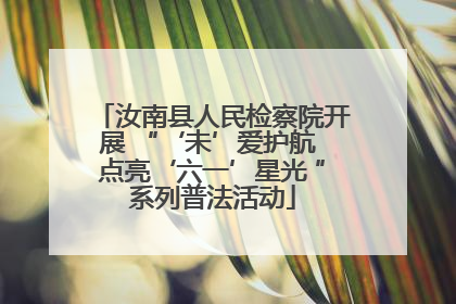 汝南县人民检察院开展 “‘未’爱护航 点亮‘六一’星光 ”系列普法活动