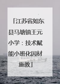 江苏省如东县马塘镇王元小学：技术赋能小班化因材施教