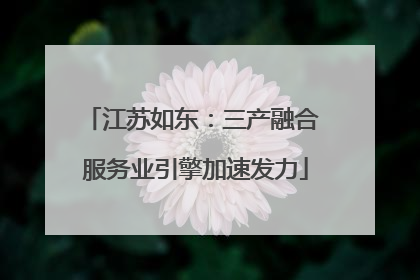 江苏如东：三产融合 服务业引擎加速发力