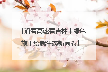 沿着高速看吉林｜绿色施工绘就生态新画卷
