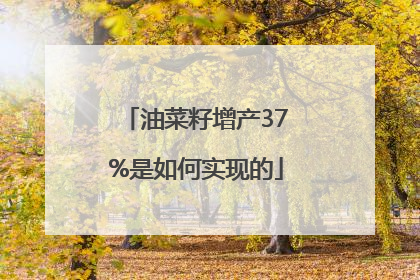 油菜籽增产37%是如何实现的