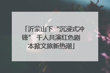 沂蒙山下“沉浸式冲锋” 千人共演红色剧本掀文旅新热潮
