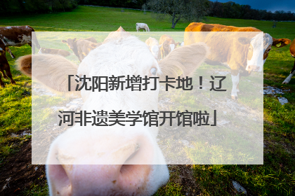 沈阳新增打卡地！辽河非遗美学馆开馆啦