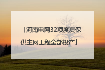 河南电网32项度夏保供主网工程全部投产