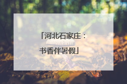 河北石家庄：书香伴暑假
