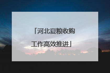 河北夏粮收购工作高效推进