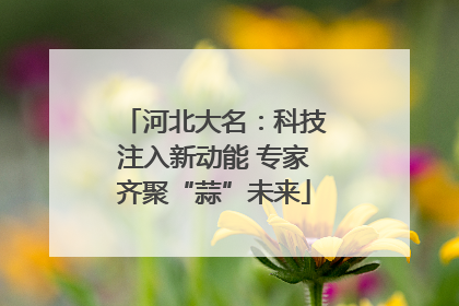 河北大名：科技注入新动能 专家齐聚“蒜”未来