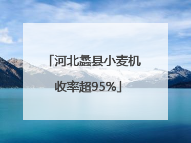 河北蠡县小麦机收率超95%