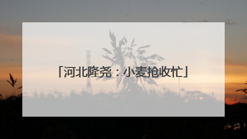 河北隆尧：小麦抢收忙