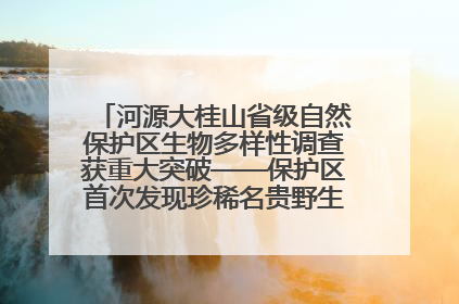 河源大桂山省级自然保护区生物多样性调查获重大突破——保护区首次发现珍稀名贵野生干巴菌与钝尾两头蛇