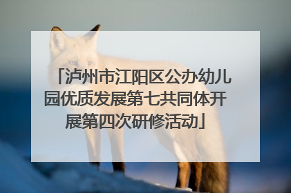 泸州市江阳区公办幼儿园优质发展第七共同体开展第四次研修活动