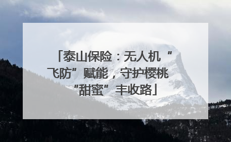 泰山保险：无人机“飞防”赋能，守护樱桃“甜蜜”丰收路