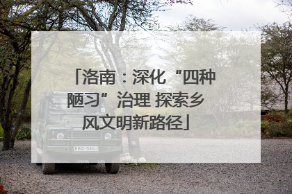 洛南：深化“四种陋习”治理 探索乡风文明新路径
