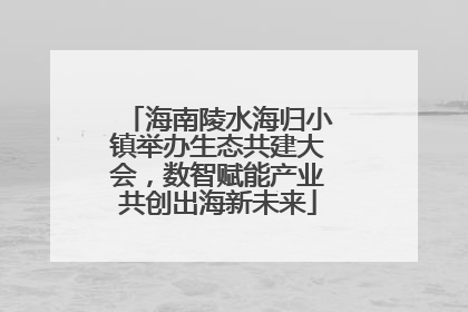 海南陵水海归小镇举办生态共建大会，数智赋能产业共创出海新未来