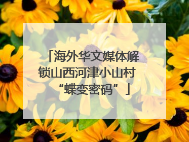 海外华文媒体解锁山西河津小山村“蝶变密码”