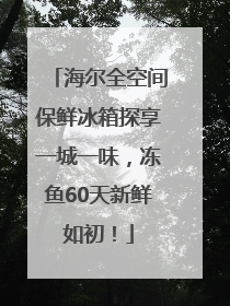 海尔全空间保鲜冰箱探享一城一味，冻鱼60天新鲜如初！