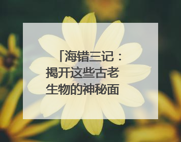 海错三记：揭开这些古老生物的神秘面纱｜盛文强