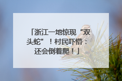 浙江一地惊现“双头蛇”！村民吓懵：还会倒着爬！