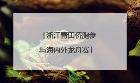 浙江青田侨胞参与海内外龙舟赛