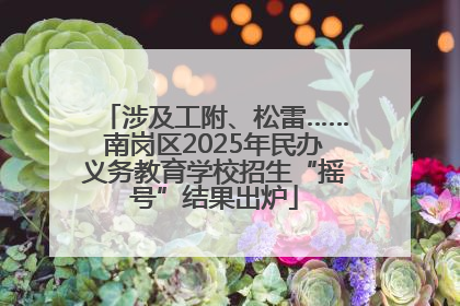 涉及工附、松雷……南岗区2025年民办义务教育学校招生“摇号”结果出炉