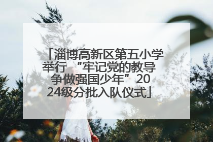 淄博高新区第五小学举行 “牢记党的教导 争做强国少年”2024级分批入队仪式