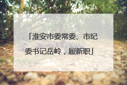 淮安市委常委、市纪委书记岳岭，履新职