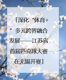 深化“体育+”多元跨界融合发展——江苏省首届匹克球大赛在无锡开赛