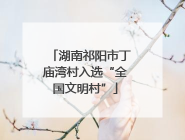 湖南祁阳市丁庙湾村入选“全国文明村”