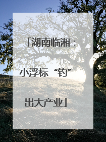 湖南临湘：小浮标“钓”出大产业
