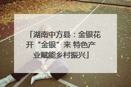 湖南中方县：金银花开“金银”来 特色产业赋能乡村振兴