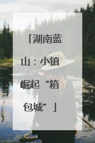 湖南蓝山：小镇崛起“箱包城”