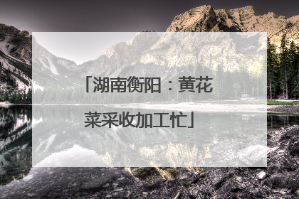 湖南衡阳：黄花菜采收加工忙
