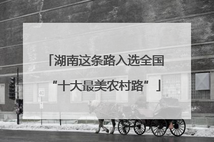 湖南这条路入选全国“十大最美农村路”