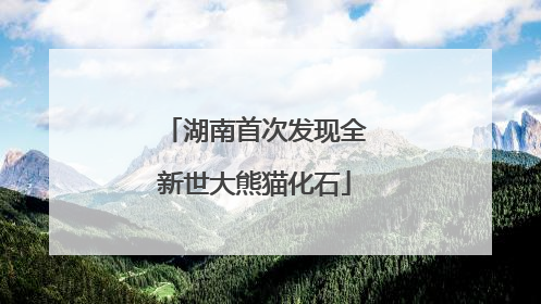 湖南首次发现全新世大熊猫化石